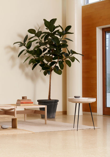 Bowl Table Coffee Waste Light – Pressefoto im Wohnraum